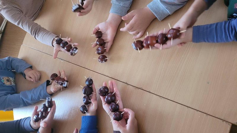 gasenica-12