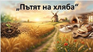 zarno 4